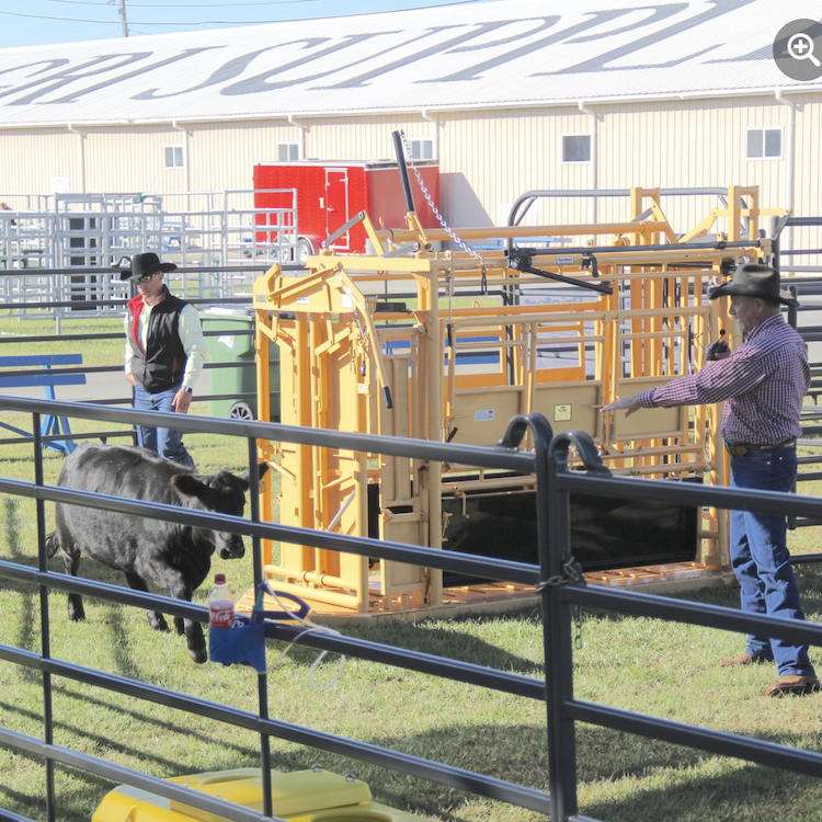 Visitors revel in return of Sunbelt Ag Expo